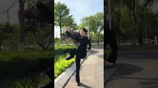 Tai Chi 跨越千年的传承，舞动中华文化的千古风韵 taichi kungfu taichiquan 功夫 太极 太极拳 太极教学 taichitutorial marti [upl. by Caryn]