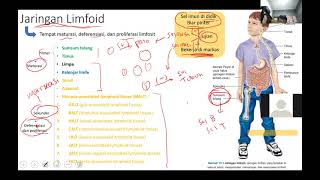 MedLC  Imunologi Kedokteran [upl. by Archy]