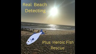 Real Beach Detecting At Southwold  Suffolk [upl. by Bloxberg]