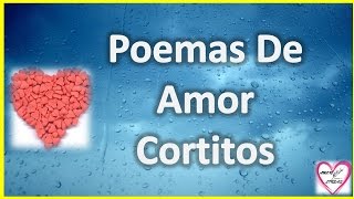 Poemas De Amor Cortitos Para Enamorar A Mi Novia [upl. by Enyledam]