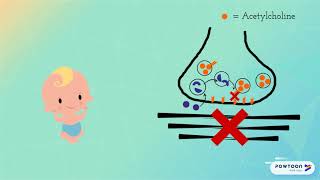 Infant Botulism and Botulinum Toxin MOA [upl. by Nomyaw292]