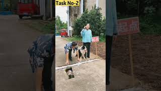 Part 2 A story of husband and wife shorts funny dog comedy [upl. by Puduns]