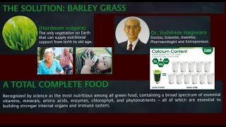 Dr Yoshihide Hagiwara and History of Barley Grass [upl. by Hills]