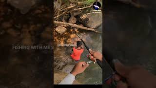 😍 fishing paces kerala kasaragod india shortvideo [upl. by Halilahk]