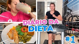 O DIÁRIO DA DIETA VOLTOU 1 [upl. by Mellitz]