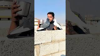 Chhote bacche ko Pani pilane ka tarika pigeontraning pigeon kabootar shortvideo shorts youtube [upl. by Tsew]