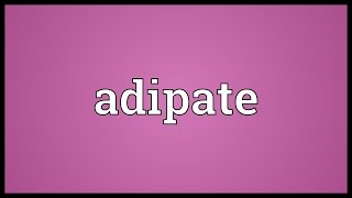 Adipate Meaning [upl. by Meeharb]