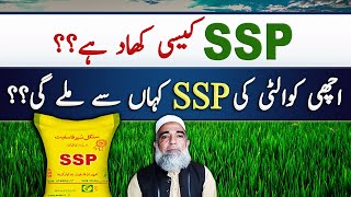 What is SSP single super phosphate fertilizer  Crop Reformer [upl. by Eema]