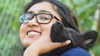 Black and Tan amp Black sable GSD puppies Kerala [upl. by Ramona854]