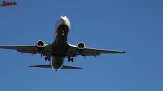 Planespotting Memmingen Airport  25022024 [upl. by Ydnyl597]