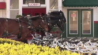 Chippewa Hotel Mackinac Island Highlights [upl. by Suiraj83]