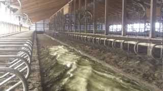 McCormick Farms  Dairy Reclamation System [upl. by Anuhsal]