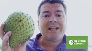 How to know when soursop fruit is ripe and when to cut it [upl. by Kronick]