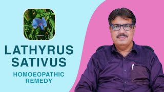 LATHYRUS SATIVUS  HOMOEOPATHIC REMEDY  EXP BY DR KEDARNATH A LONGANI MD HOM LONGANI CLINICS [upl. by Tocci]