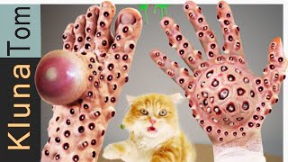 Best Off Kluna Tik 2024 Compilation  Eating special food ASMR MUKBANG no talking with Tom cat [upl. by Ardenia930]