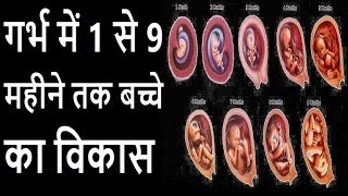 Birthcycle babygrowth गर्भ में 1 से 9 महीने तक बच्चे का विकास Baby development in pregnancy [upl. by Padgett985]