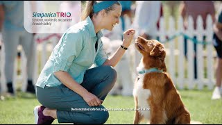 Simparica Trio®  Winning Parasite Protection TV Commercial [upl. by Dewayne]