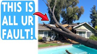 Karen Destroyed HUGE Oak Tree On My Property It Fell amp Ruined My POOL [upl. by Ardek]