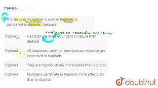 The study of mutations is easy in haploids as compared to diploids  because  CLASS 12  NTA N [upl. by Eeryk]