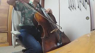 Downton Abbey Theme Song Cello Cover [upl. by Aihsot]