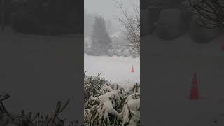 snow storm in Abbotsford BC Jan 17 2024 [upl. by Chere]