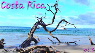 Costa Rica Tamarindo Catamaran and hotel tour [upl. by Annayehc]