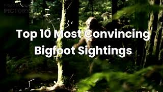 Top 10 Most Convincing Bigfoot Sightings [upl. by Ridan]