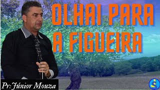 OLHAI PARA A FIGUEIRA  PR JÚNIOR MOUZA pregação assembleiadedeus [upl. by Doane]