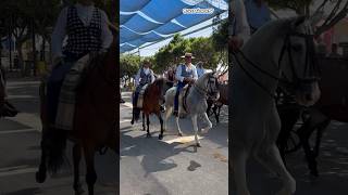 Feria de Málaga 2024 Paseo de Caballos en el Cortijo de Torres Real de la Feria de Málaga 2024 [upl. by Anirtap]