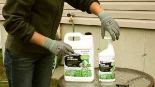 Bioprotec Lawn Herbicide for Clover  Instructions [upl. by Mary]