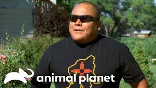 Incredible Bigfoot Sightings EXPOSED  Finding Bigfoot  Animal Planet [upl. by Anaujit350]