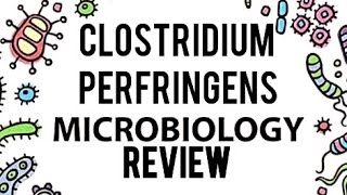 CLOSTRIDIUM PERFRINGENS GAS GANGRENEFOOD POISONINGLEVINSION MICROBIOLOGY REVIEW DETAILED [upl. by Akoek641]