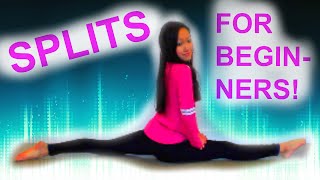 How to Learn SPLITS For BEGINNERS [upl. by Seaden980]