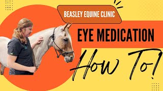 HOW TO  Administer Eye Medication to a horse [upl. by Aniled]