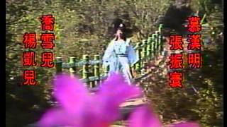 1987 華視 神仙一把抓 秦風 曹蘭 陳復生 鄒美儀 湯志偉 張振寰 汪強 狄鶯 [upl. by Dickens]