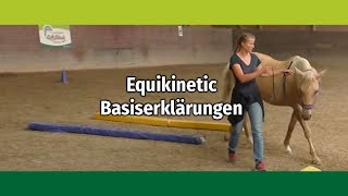 Equikinetic Muskelaufbautraining Basiserklärungen mit Andrea EschbachKindler [upl. by Annaesor912]