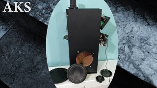 Philips SPA9080B Whats inSide Tower Speaker by AKS [upl. by Ecnerol449]