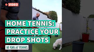 Home Tennis Drills  Day 3 quotPractice your Drop Shotsquot [upl. by Euqinotna]