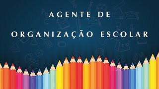 Contratação de 14403 Agentes de Organização Escolar e possibilidade de Concurso Público 2024 [upl. by Benedick]