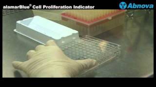 alamarBlue® Cell Proliferation Indicator [upl. by Nesto]