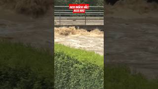 Diese Brücke hält alles aus Massives Hochwasser am 1509 in Wien flood viralvideo hochwasser [upl. by Hong]