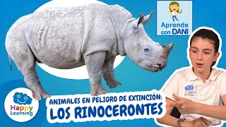 RINOCERONTES EN PELIGRO  APRENDE CON DANI  Happy Learning 🦏🏥 [upl. by Wylie]