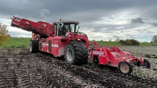 HARVESTING HOCKWOLD FEN BLACK LAND [upl. by Odericus]