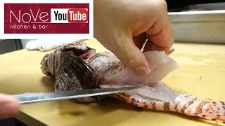 VENOMOUS Lionfish Sashimi  How To Make Sushi Series [upl. by Akirat]