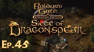 Baldurs Gate Siege of Dragonspear Ep 45  Bloodbark Grove  Lets Play Gameplay Walkthrough [upl. by Lucas]