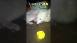 Kadva h sach h  🥲🥲 comedy trueline motivation funny love shayari guddu shorts viral [upl. by Kellyn927]