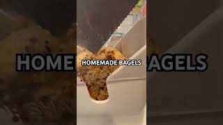 Wholegrain everything bagels Bagels Homemade HomemadeBagels Cooking Housewife [upl. by Buderus924]