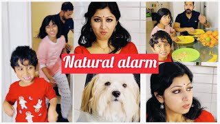 ഞങ്ങളുടെ വീട്ടിലെ natural alarm 🤪 sijoshriya malayalamvlog [upl. by Otinauj]