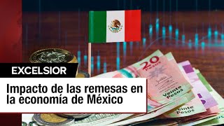 Impacto de las remesas y situación económica y de salud en México [upl. by Carita]