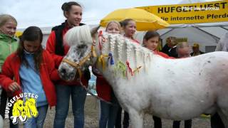 Pferd International Riem 2015  Fohlenhof Farbenfroh im Schauprogramm [upl. by Bokaj]